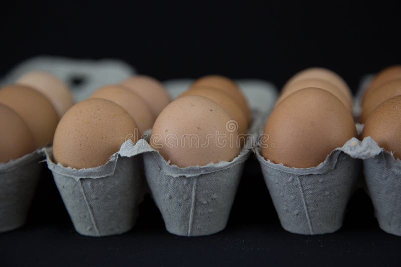 Oeufs brun clair dans la culture de macro de boîtes en carton photo libre de droits Oeufs brun clair dans la culture de macro de boîtes en carton photo libre de droits