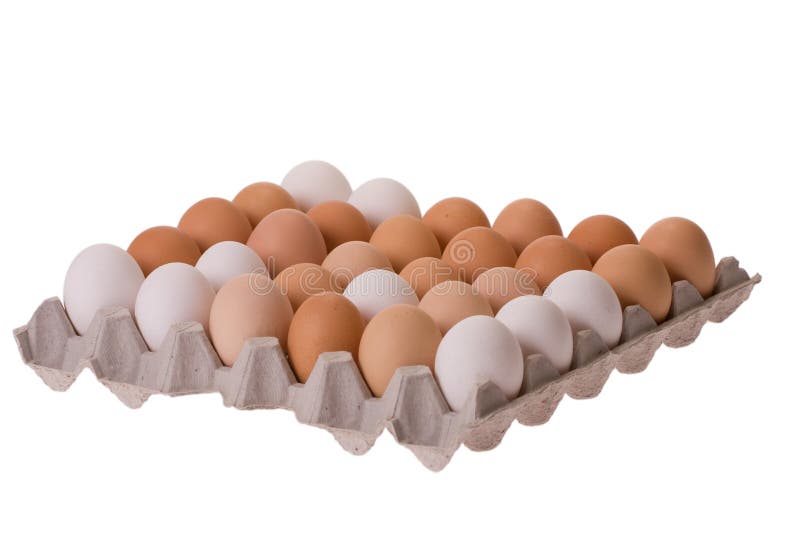 oeufs d'oeufs de carton photo libre de droits oeufs d'oeufs de carton photo libre de droits