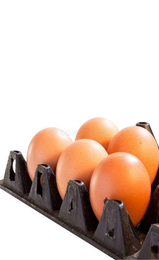 Oeufs dans le cadre de carton sur le fond blanc image stock Oeufs dans le cadre de carton sur le fond blanc image stock