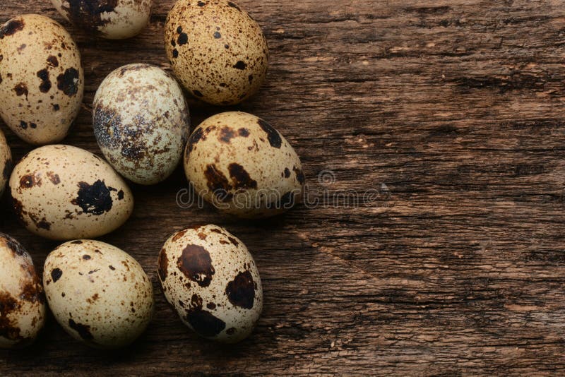 Quail eggs on wooden table. Quail eggs on wooden table