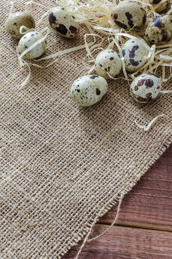 Oeufs de caille sur une table en bois photographie stock libre de droits Oeufs de caille sur une table en bois photographie stock libre de droits