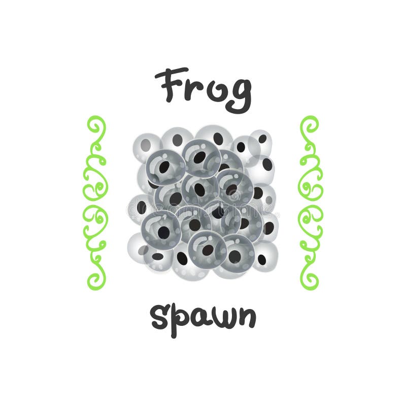Oeufs de grenouille comme délicatesse illustration stock Oeufs de grenouille comme délicatesse illustration stock