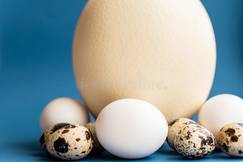 Oeufs De Poule Et De Caille D