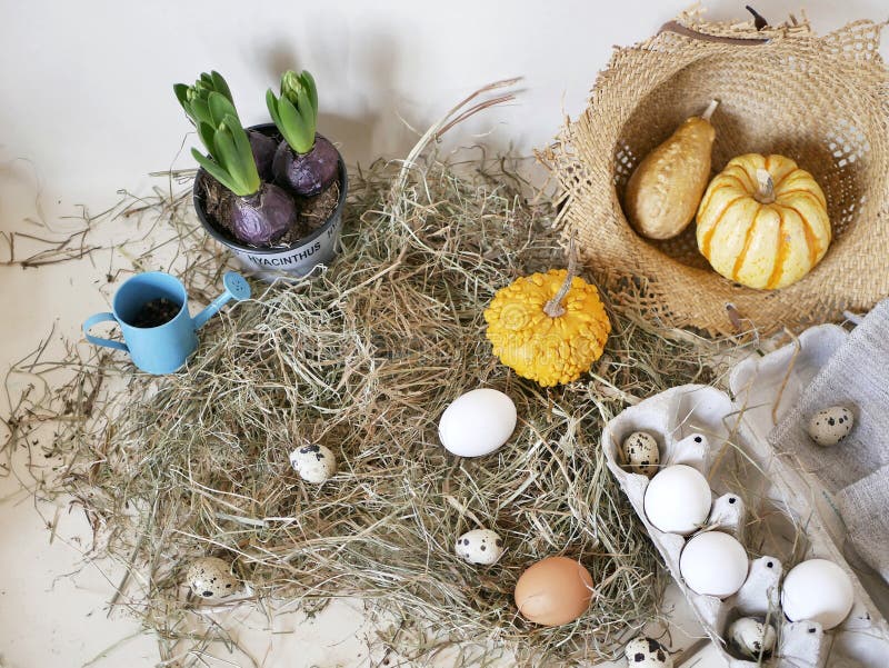 Oeufs de poulet et de caille dans l'emballage, potirons, foin, jacinthes croissantes, concept de Pâques, préparation de vacances, images stock Oeufs de poulet et de caille dans l'emballage, potirons, foin, jacinthes croissantes, concept de Pâques, préparation de vacances, images stock