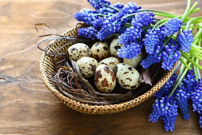 Oeufs de pâques avec les fleurs bleues photos libres de droits Oeufs de pâques avec les fleurs bleues photos libres de droits
