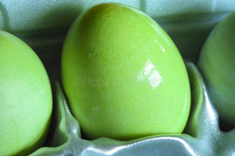 OEUFS DE PÂQUES VERTS DANS LE CARTON photographie stock libre de droits OEUFS DE PÂQUES VERTS DANS LE CARTON photographie stock libre de droits
