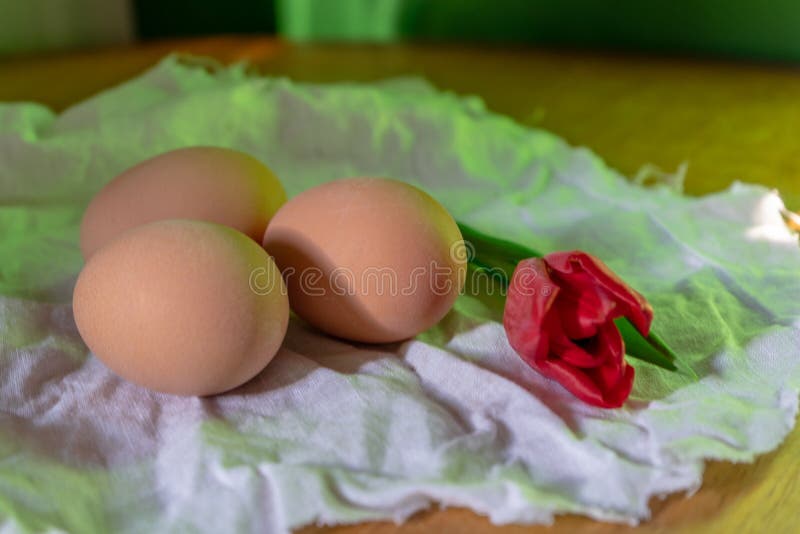 Oeufs frais de Brown avec la tulipe rouge sur le tissu blanc de linene et la surface en bois de table Fin vers le haut image libre de droits Oeufs frais de Brown avec la tulipe rouge sur le tissu blanc de linene et la surface en bois de table Fin vers le haut image libre de droits