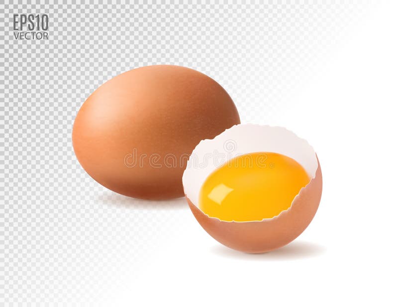 Oeufs Realistes De Poulet Avec Le Jaune D Oeuf Sur Un Fond Transparent L Ment De Conception Isolat Illustration De Vecteur Illustration Du Coupure Concept