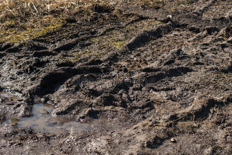 Muddy road car tracks stock image Image of tractor 116607905 Muddy road car tracks stock image Image of tractor 116607905