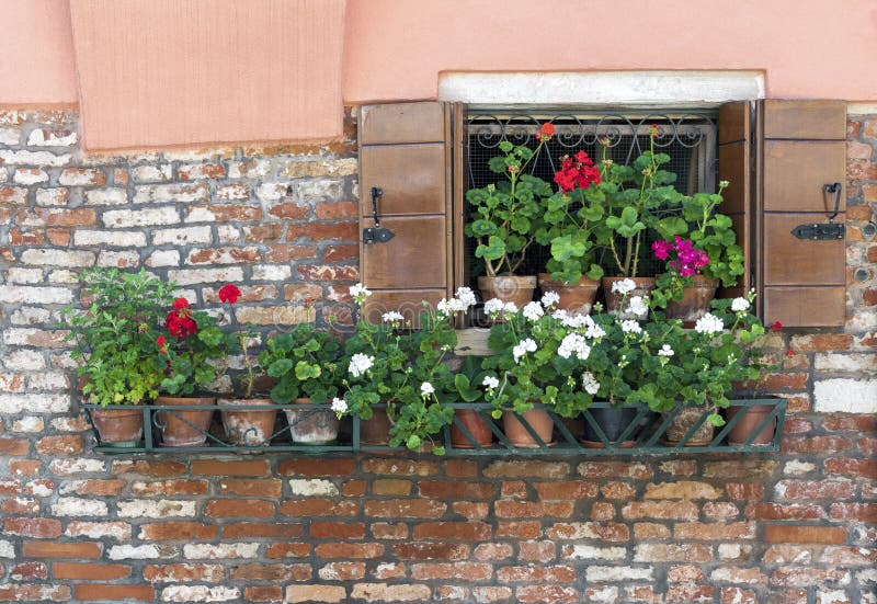 Offenes Fenster mit einer Reihe von Blumentöpfen stockfotografie Offenes Fenster mit einer Reihe von Blumentöpfen stockfotografie