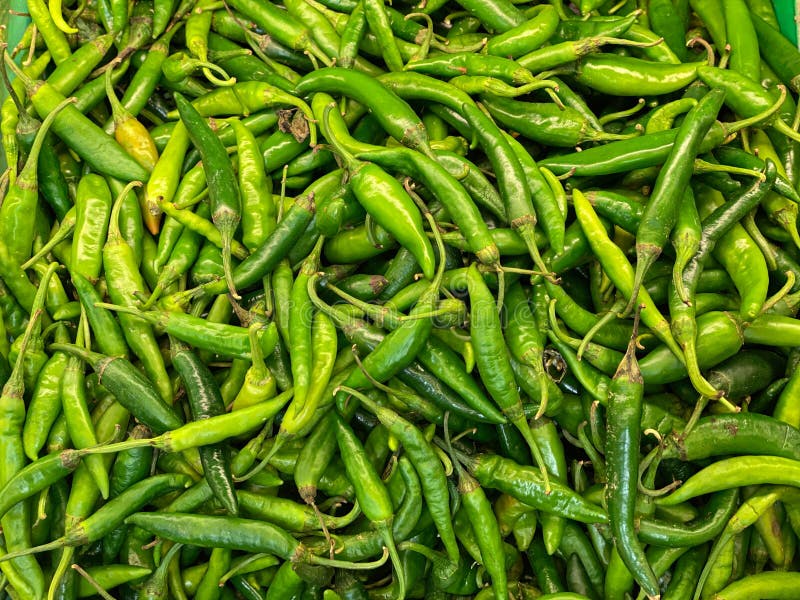 Offered for Sale, Indian Green Pepper Stock Image Image of stall