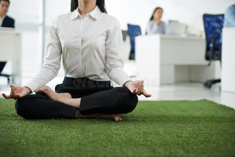 new commercial bathroom home office yoga dog hump new commercial bathroom home office yoga dog hump
