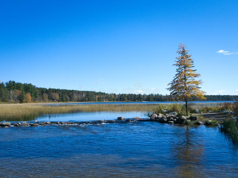 Officiell start av Mississippiet River på den sjöItasca delstatsparken, Minnesota arkivbilder Officiell start av Mississippiet River på den sjöItasca delstatsparken, Minnesota arkivbilder