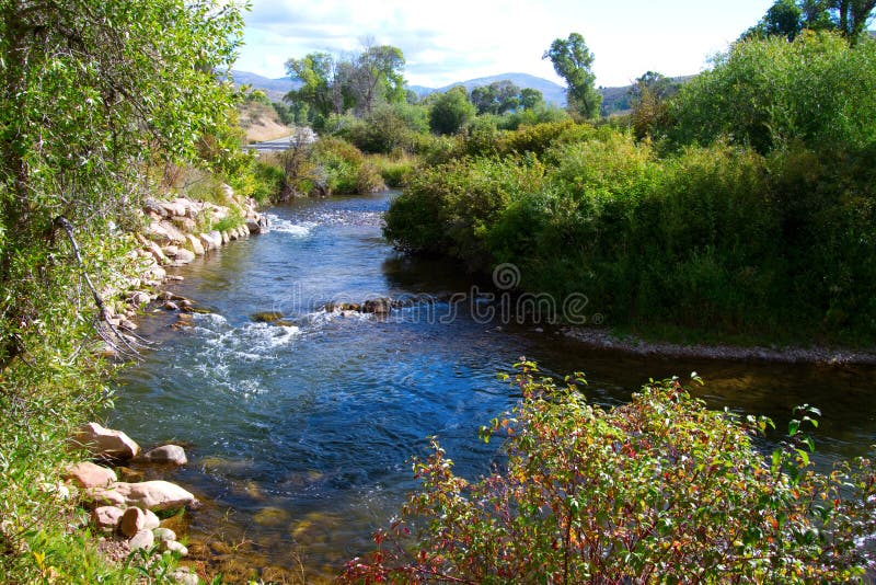 Ogden Utah on Plants Stock Photo Image of sidelight, sunlit 1687066