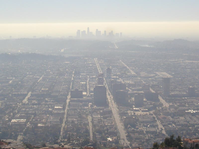 Ogenomskinlighet över den Los Angeles staden