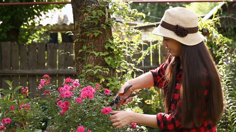 Ogrodniczki dziewczyny arymaż kwitnie z secateurs