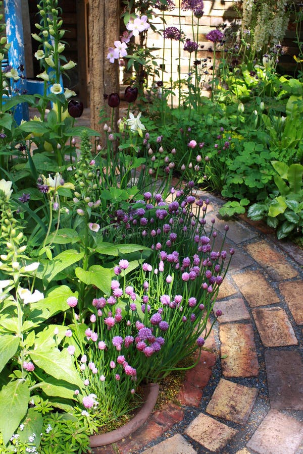 A section of an oval brick constructed garden path. Green grass, foliage and flowering chives edge the path leading to a garden shed. A section of an oval brick constructed garden path. Green grass, foliage and flowering chives edge the path leading to a garden shed.