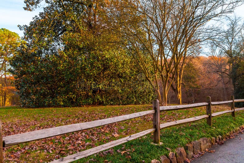 The wooden fence and the big magnolia tree in the Lullwater Park, Atlanta, USA. The wooden fence and the big magnolia tree in the Lullwater Park, Atlanta, USA