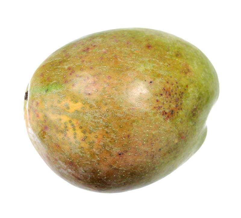 Ogromny mango obrazy royalty free Ogromny mango obrazy royalty free