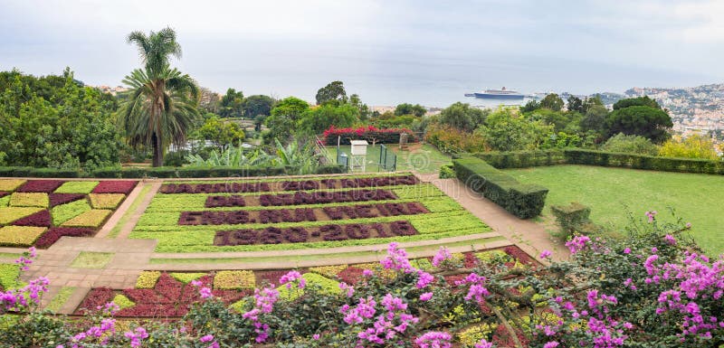 Ogród botaniczny w Funchal, madery wyspa, Portugalia fotografia stock Ogród botaniczny w Funchal, madery wyspa, Portugalia fotografia stock