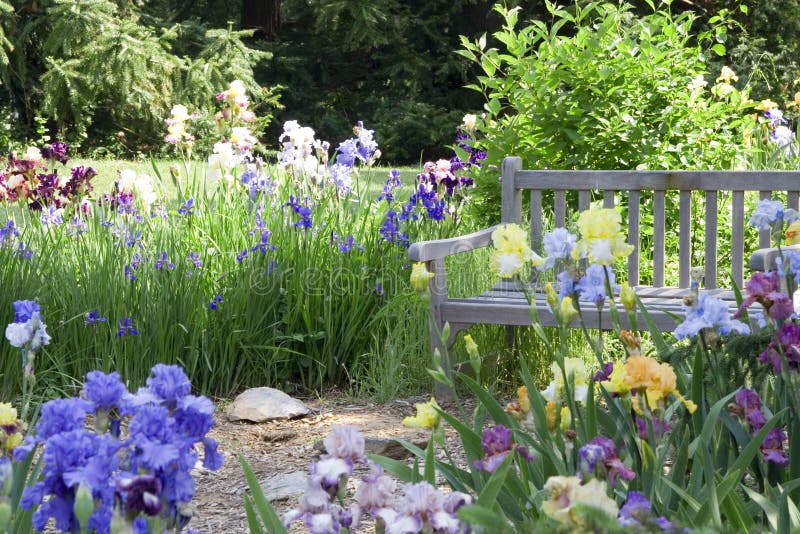 Flower garden with a wooden bench. Flower garden with a wooden bench.