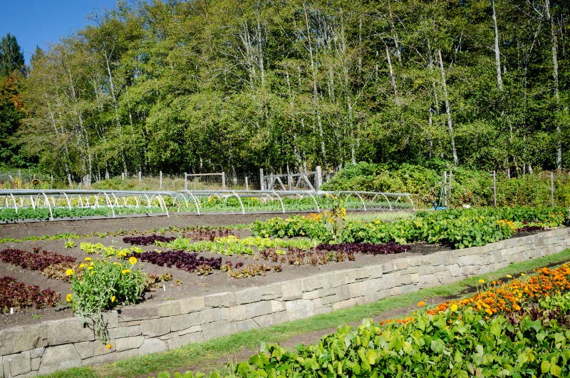 Ogród na organicznie gospodarstwie rolnym