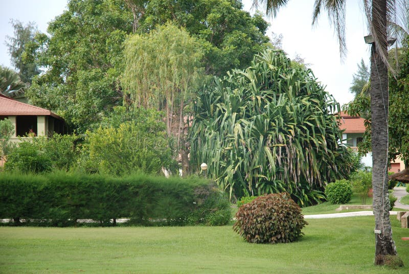 Garden in Lagos Nigeria. Garden in Lagos Nigeria