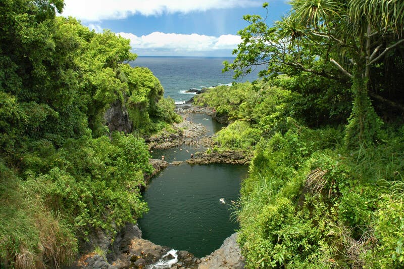 oheo maui gulch стоковые фото oheo maui gulch стоковые фото