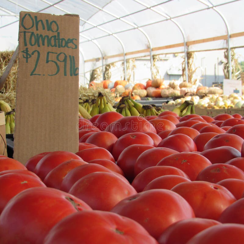 Get Your Ripe Ohio Tomatoes!