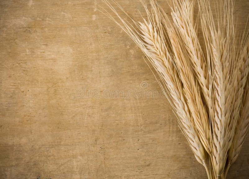 Ears spike of wheat on wood texture background. Ears spike of wheat on wood texture background