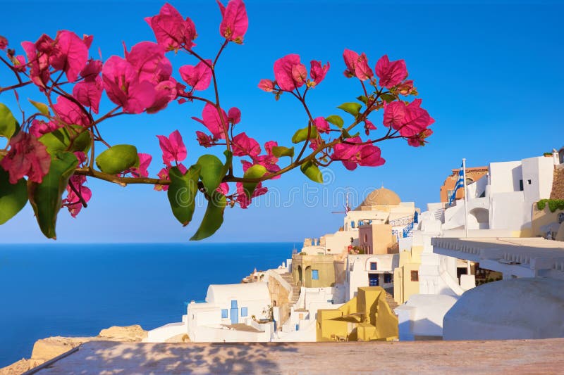 Oia Village Santorini Island Greece Flowers In Front Stock Photo