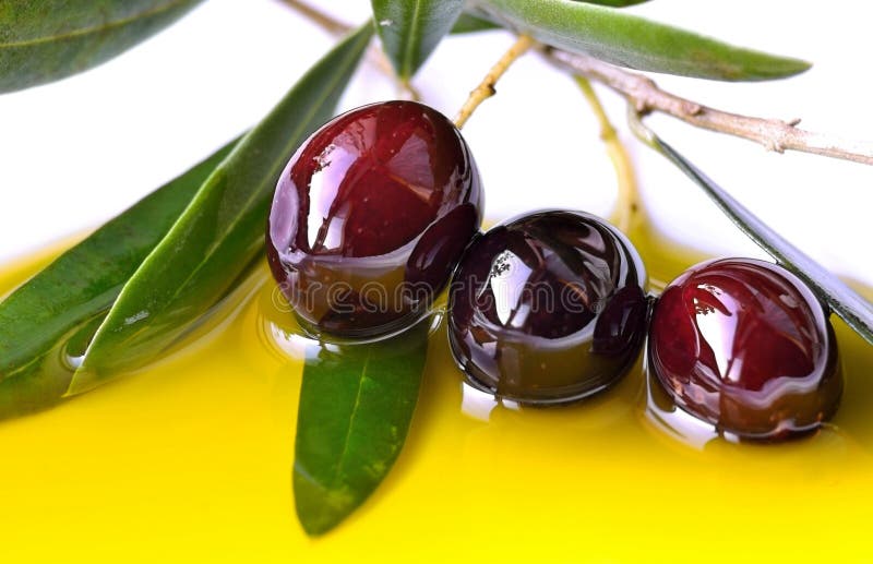 Olive oil and branch of fresh olives