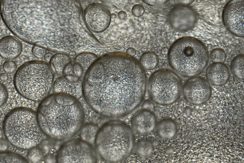 Oil Bubbles that Look Like Cells Stock Image Image of look, pattern