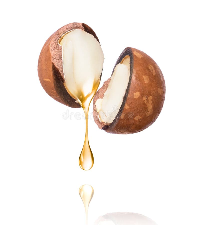 Oil of macadamia nut is dripping on a white background royalty free illustration