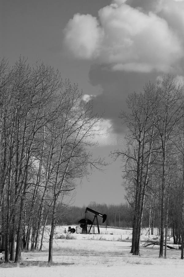 Oil pump jack b&w stock photo. Image of birch, racked 4949014