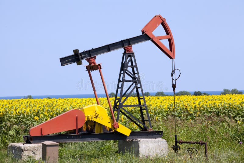 Oil Pump with Sunflowers Field Stock Image Image of fields