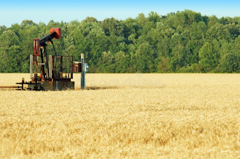Oil pump in a wheat field stock image. Image of jack 15269385