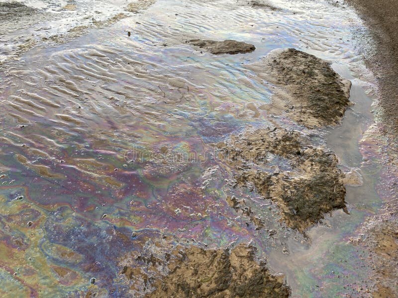 Oil spills on the sand stock image. Image of endangered 220402747