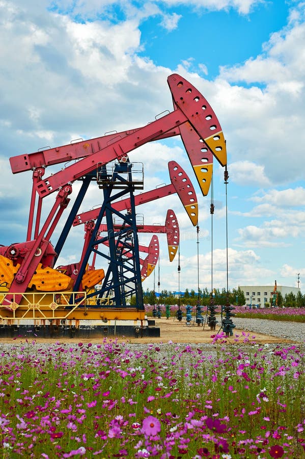 Oil sucking machine and flowers