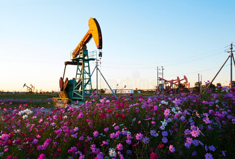 Oil sucking machine and flowers sunset