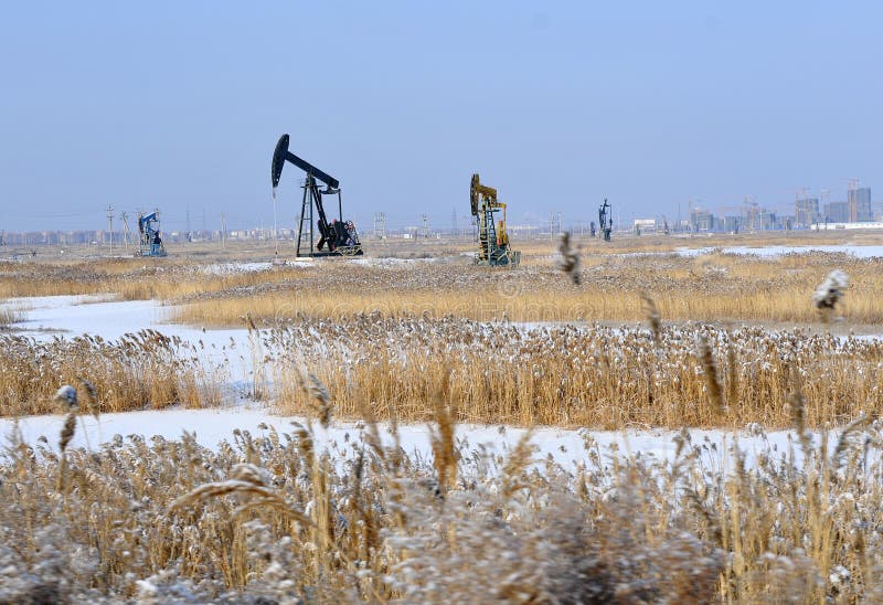 Oil and gas stock photo. Image of machine, donkey, group 12605398