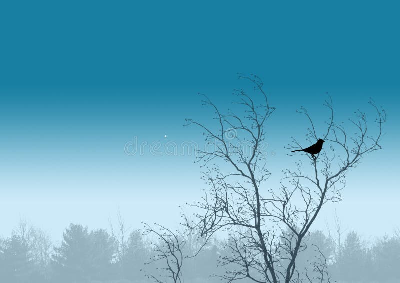 Oiseau photographie stock libre de droits Oiseau photographie stock libre de droits
