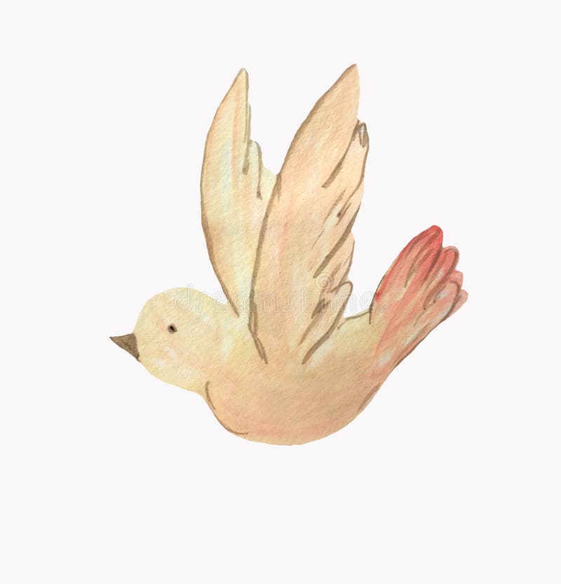 Oiseau jaune de bande dessinée sur un fond blanc illustration de vecteur Oiseau jaune de bande dessinée sur un fond blanc illustration de vecteur