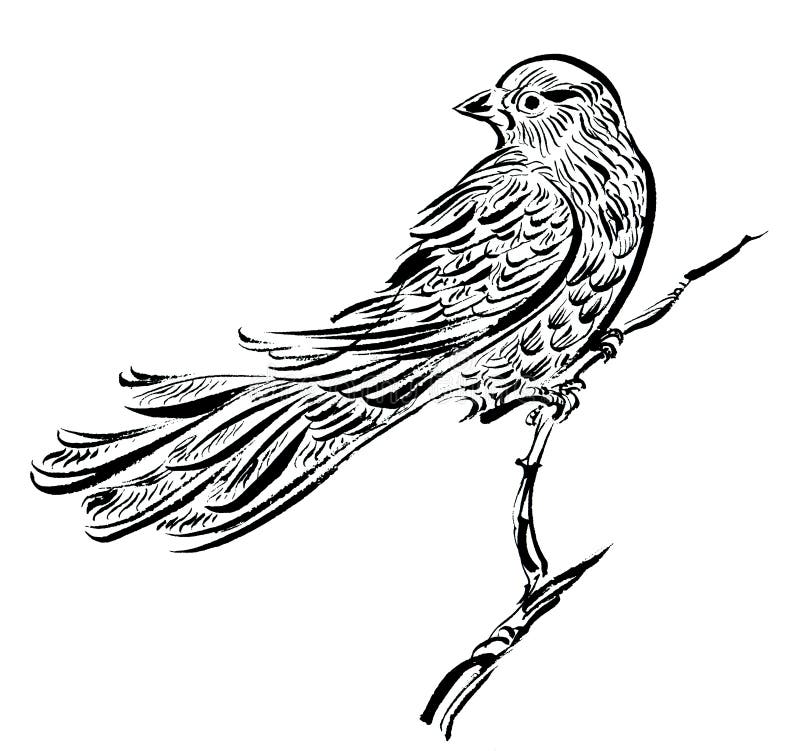 Dessin D'oiseau Sur Une Branche Facile Oiseau Sur Une Branche, Affiche De Dessin D'encre Illustration Stock