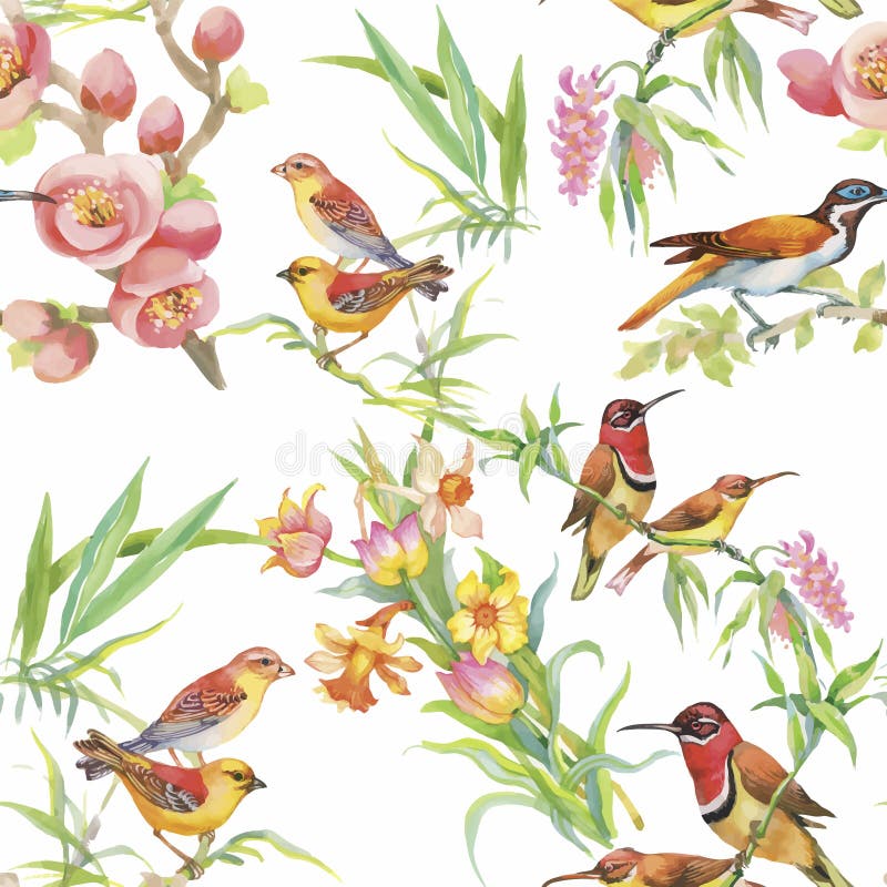 Oiseaux exotiques sauvages d'aquarelle sur le modèle sans couture de fleurs sur le fond blanc illustration de vecteur Oiseaux exotiques sauvages d'aquarelle sur le modèle sans couture de fleurs sur le fond blanc illustration de vecteur