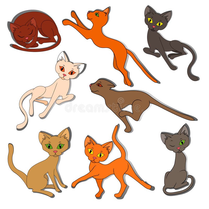 Engraçado desenhos animados gatos personagens diferentes raças ilustração.  Kitty jovem animal de estimação imagem vetorial de VectorShow© 173724772