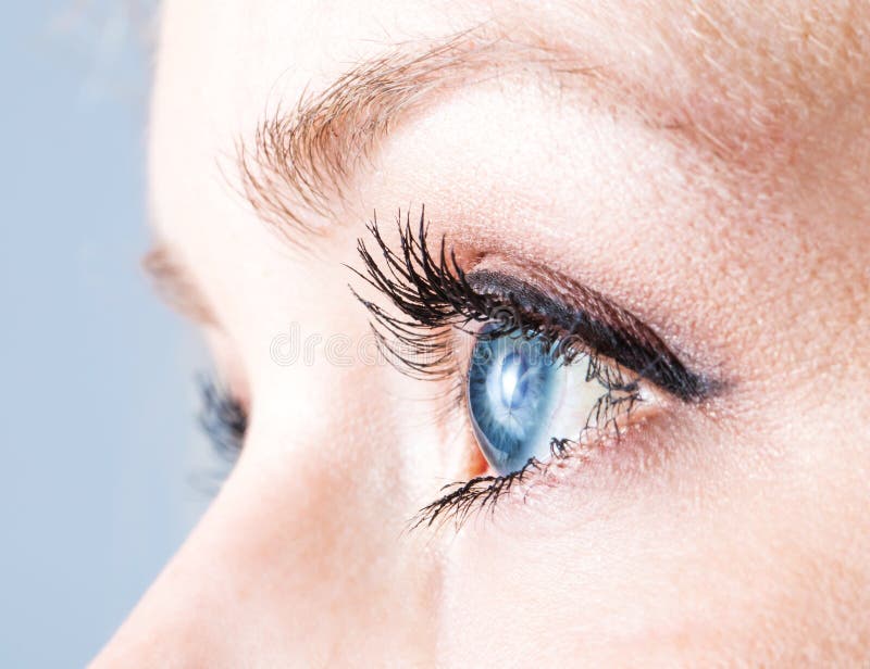 Closeup shot of a blue female eye, taken from the left side of the face. Closeup shot of a blue female eye, taken from the left side of the face