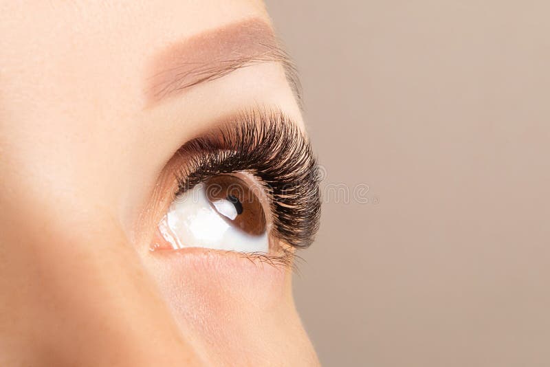 Ojo de Brown con el primer largo hermoso de los latigazos Extensión del latigazo del ojo del color de Brown, volumen 3D o 4D Cuid