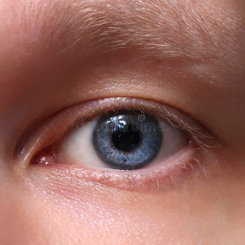 Ojos azules brillantes imagen de archivo. Imagen de atractivo 7048409