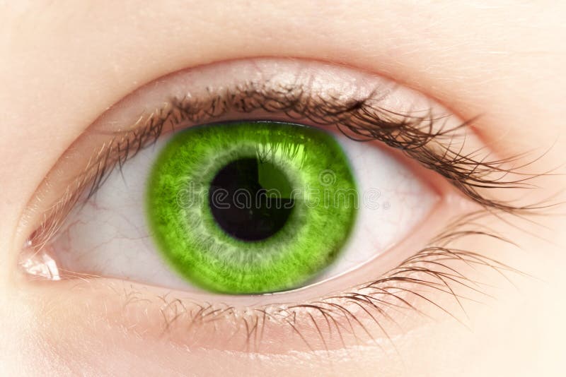 Ojo verde del cierre de la persona para arriba fotos de archivo Ojo verde del cierre de la persona para arriba fotos de archivo